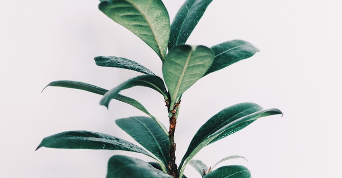 Sciatica: Understanding and Treating Nerve Pain image