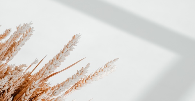 Attention Ladies: Volunteers Needed for Therapeutic Breast Massage Training! image