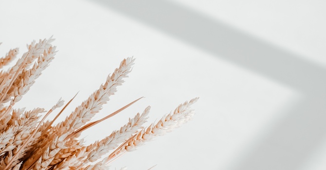 TMJ & Headaches: Finding Relief Through Jaw and Neck Care