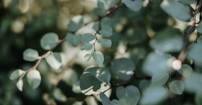 MVA and WSIB Claims Welcome image